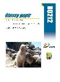 R0212 Super High Glossy white ink.420x297 papers 1pola